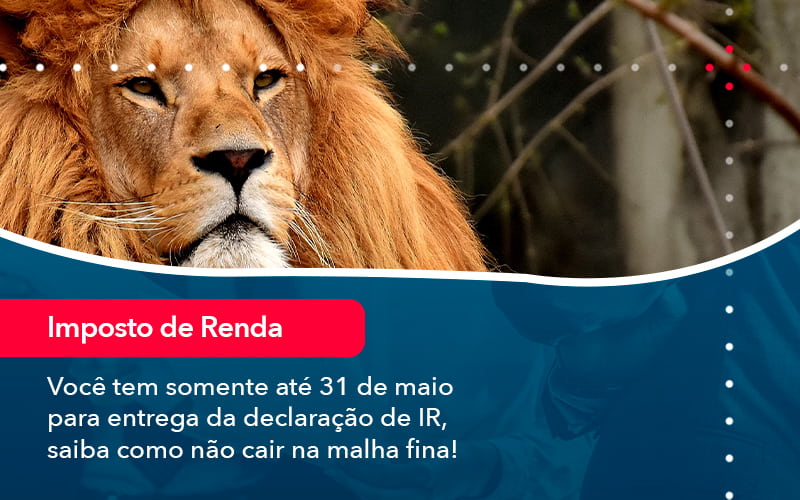 Voce Tem Somente Ate 31 De Maio Para Entrega Da Declaracao De Ir Saiba Como Nao Cair Na Malha Fina 1 - Batista Contabilidade