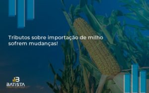 Tributos Sobre Importacao De Milho Sofrem Mudancas Batista Contabilidade - Batista Contabilidade