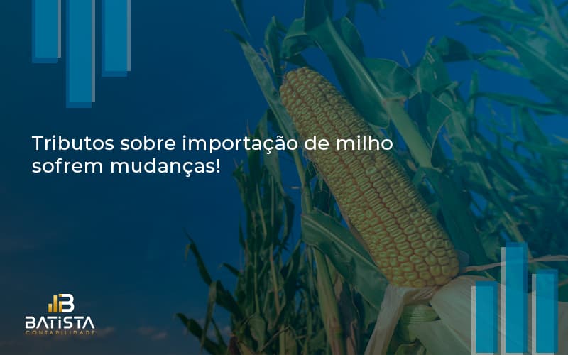 Tributos Sobre Importacao De Milho Sofrem Mudancas Batista Contabilidade - Batista Contabilidade